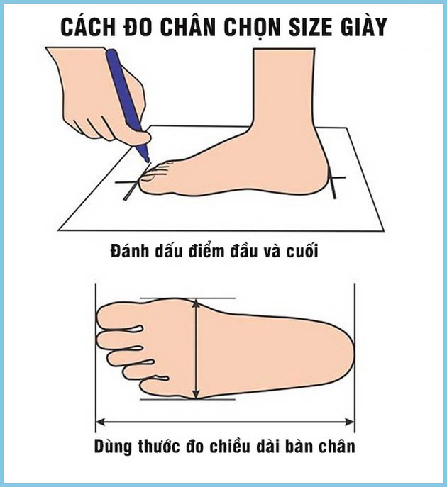 đo bàn chân để chọn chân nhái bơi
